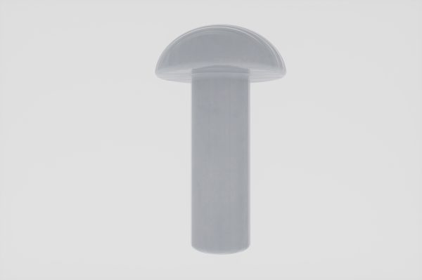 Standard Rivets